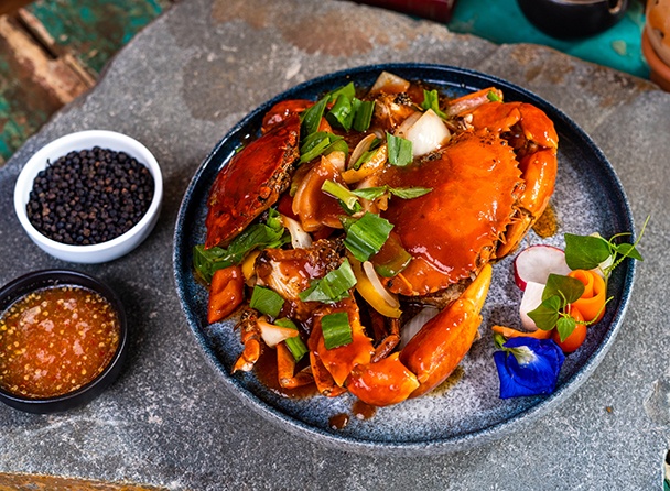 food-dish
